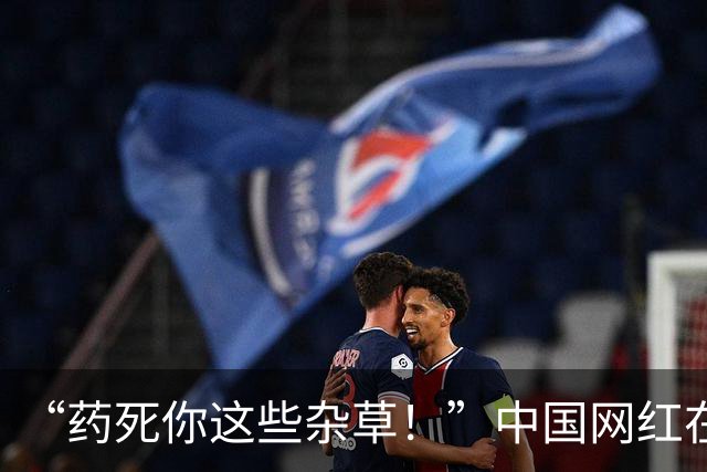 “药死你这些杂草！”中国网红在富士山脚狂喷不明液体，被抓包后说：这只是纯净水！