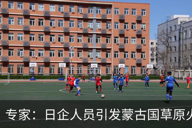 专家：日企人员引发蒙古国草原火灾的生态影响复杂