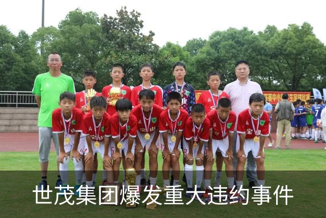 世茂集团爆发重大违约事件