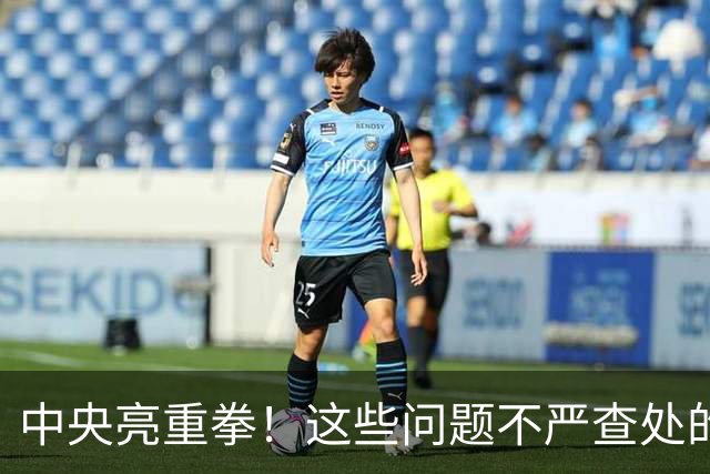 中央亮重拳！这些问题不严查处的，直接追究地方领导责任！