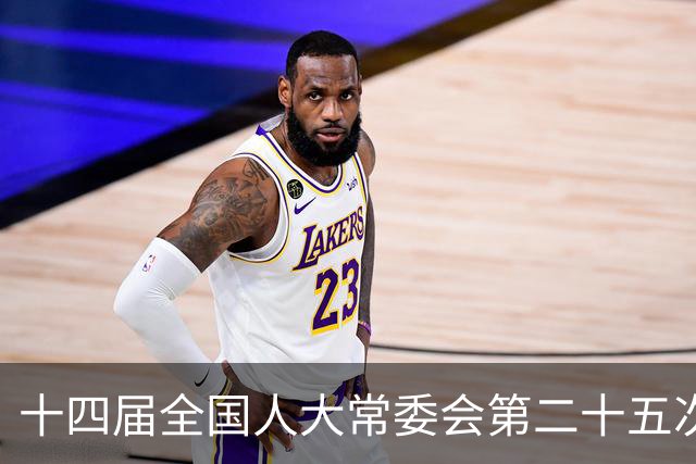十四届全国人大常委会第二十五次会议11月2日至6日举行