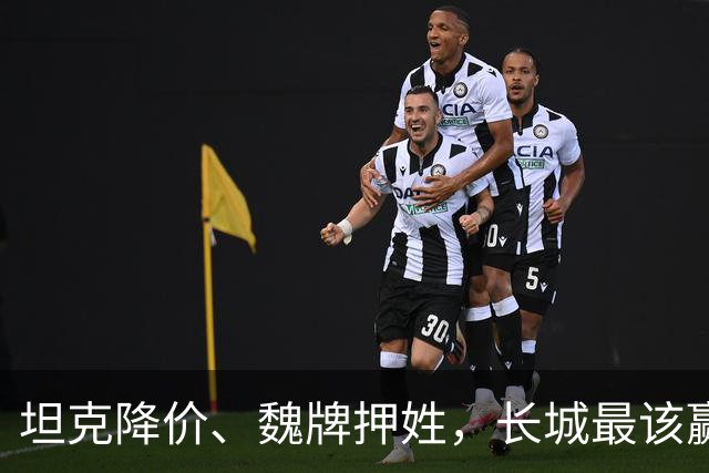坦克降价、魏牌押姓，长城最该赢的两仗，都打成了消耗战
