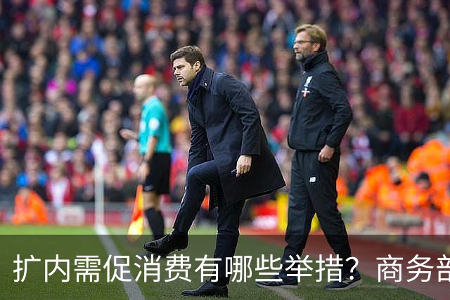 扩内需促消费有哪些举措？商务部：推动商品消费扩容升级、持续扩大服务消费、梯次释放不同区域消费潜力