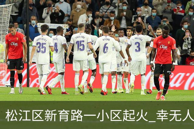 松江区新育路一小区起火 幸无人员伤亡