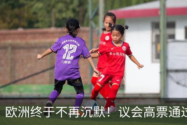 欧洲终于不再沉默！议会高票通过，决定对抗穆斯林兄弟会
