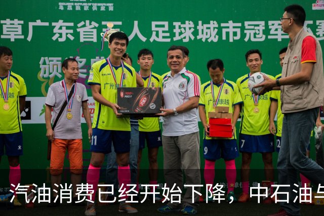 汽油消费已经开始下降，中石油与中石化为何还要大举扩建加油站？