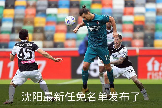 沈阳最新任免名单发布了