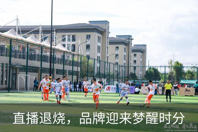 直播退烧，品牌迎来梦醒时分