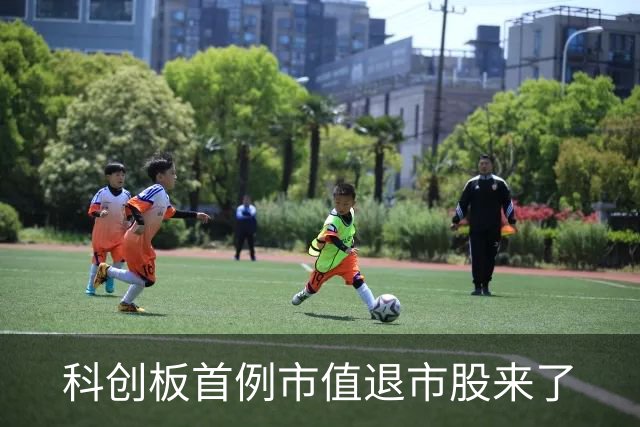 科创板首例市值退市股来了
