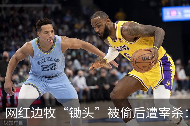 网红边牧“锄头”被偷后遭宰杀：主人接受和解，将全额捐出赔偿金