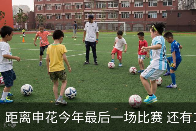 距离申花今年最后一场比赛 还有1个月 特谢拉能否续约还是没有消息