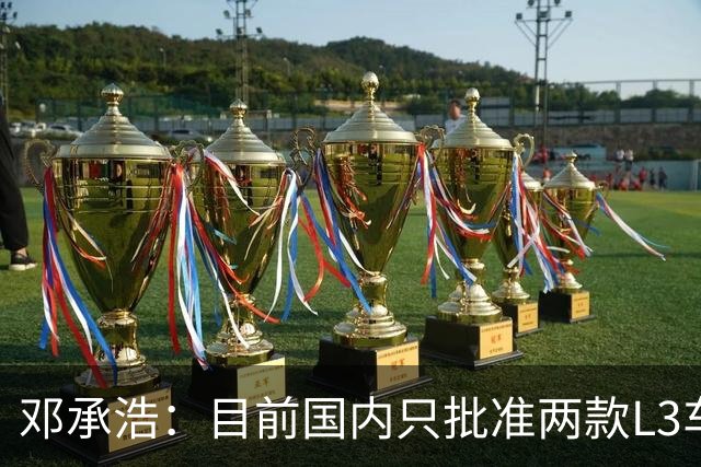 邓承浩：目前国内只批准两款L3车型 其它企业讲L3级是在打擦边球