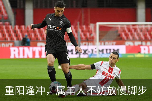 重阳逢冲，属羊人不妨放慢脚步