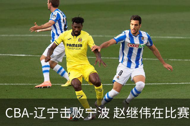 CBA-辽宁击败宁波 赵继伟在比赛中