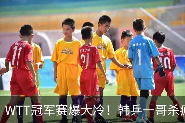 WTT冠军赛爆大冷！韩乒一哥"杀疯"了，雨果造惨案，梁靖崑输惨了